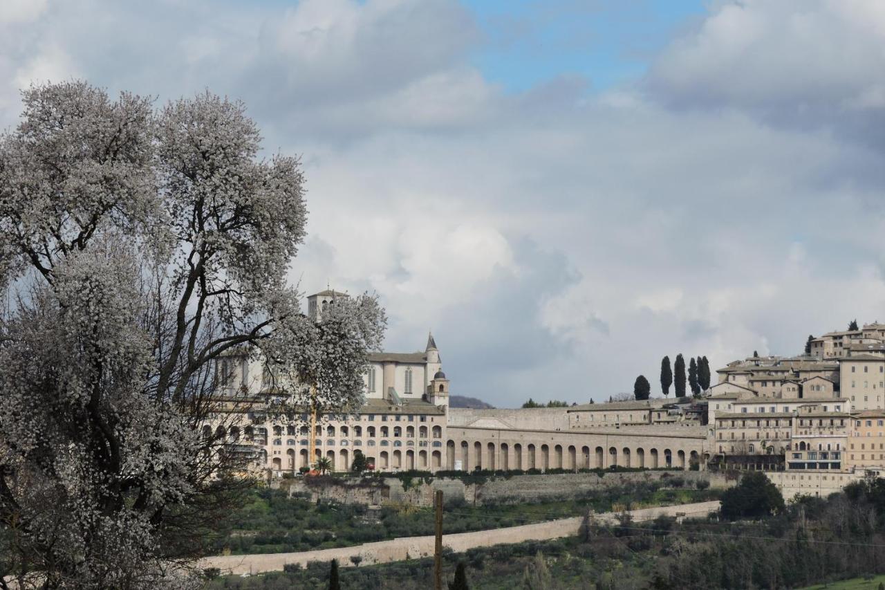 Da Franca Acomodação com café da manhã Assisi Exterior foto